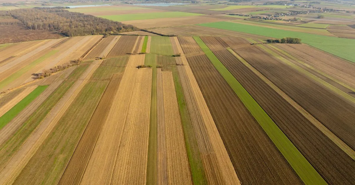 Aerial view of a patchwork of farmland parcels in different crop and tillage states